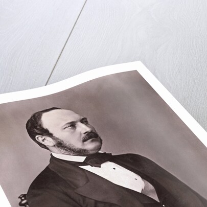 Portrait of Prince Albert Reclining by Anonymous
