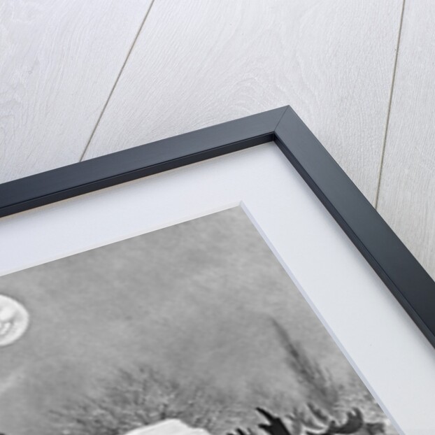 Illustration of St. Nick's Visit on Christmas Eve by Anonymous