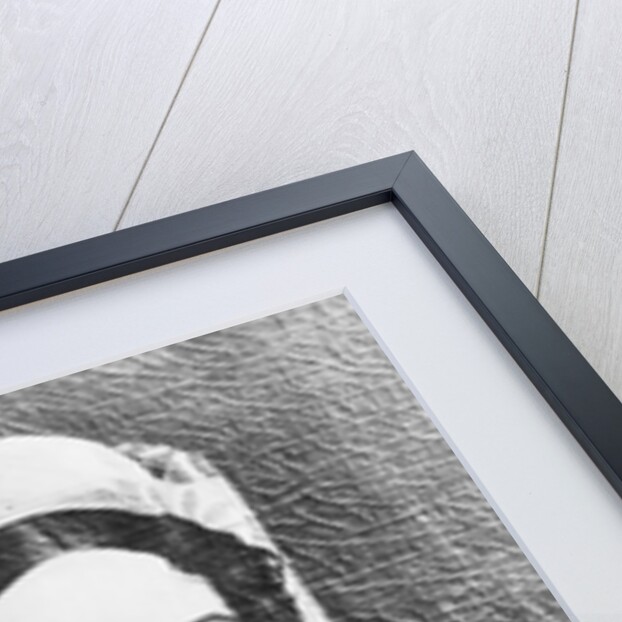 Painting of Rachel Jackson by Anonymous