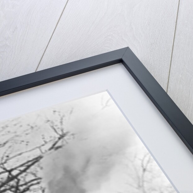 Fire Engine Under Full Steam by Anonymous