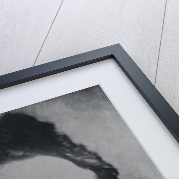 Portrait of Leon Trotsky by Anonymous