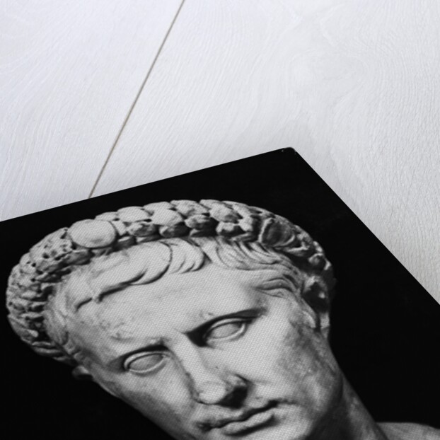 Bust of Augustus by Anonymous