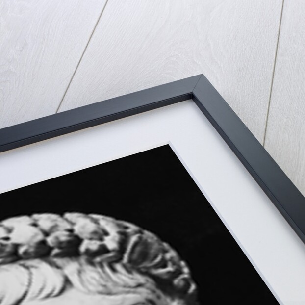 Bust of Augustus by Anonymous