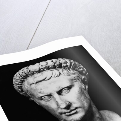 Bust of Augustus by Anonymous