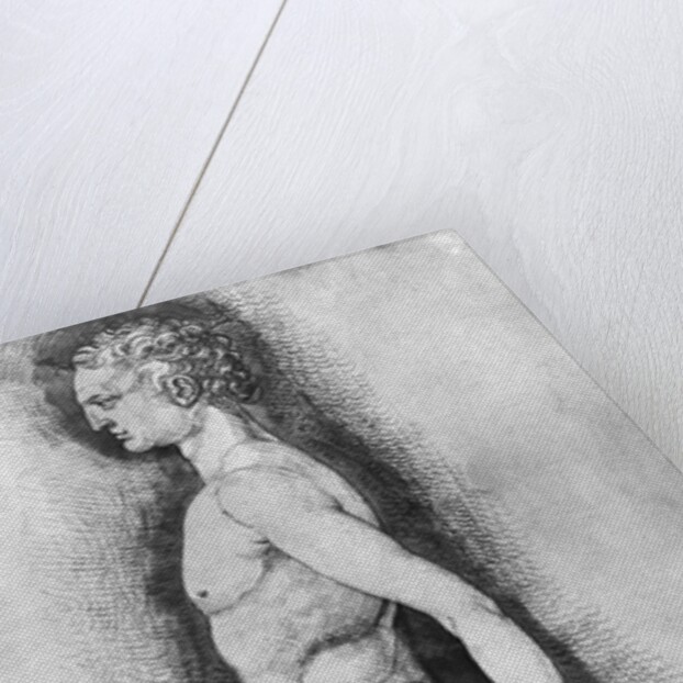 Albrecht Durer Study of Male Anatomy by Anonymous
