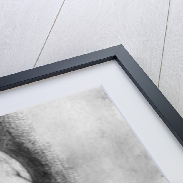 Albrecht Durer Study of Male Anatomy by Anonymous