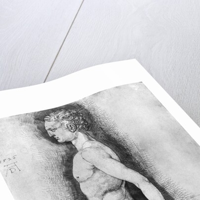 Albrecht Durer Study of Male Anatomy by Anonymous