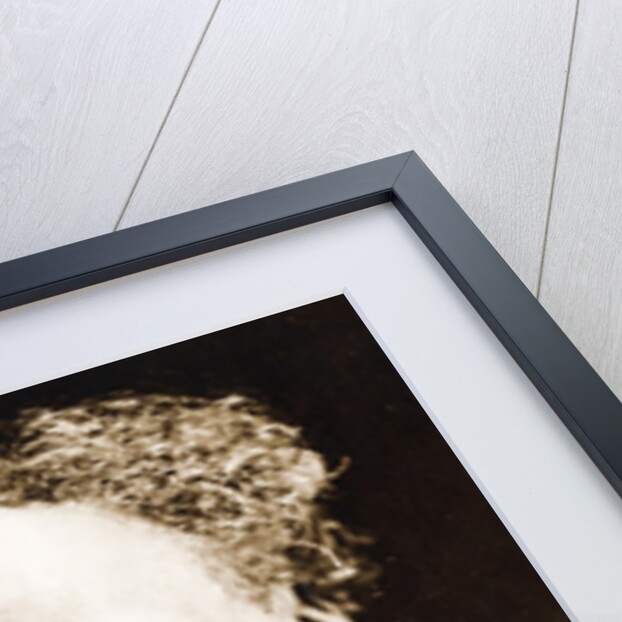 Portrait of French Novelist Alexandre Dumas by Anonymous