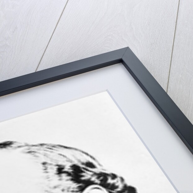 Friedrich August Kekule von Stradonitz by Anonymous