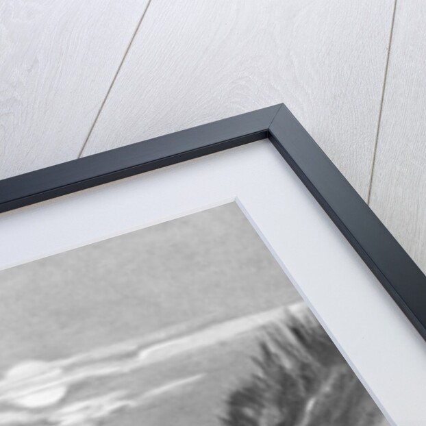 Illustration of Captain Kidd Burying Treasure by Anonymous