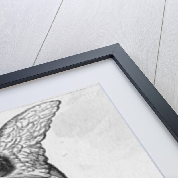 Sir Francis Drake with Booty by Anonymous