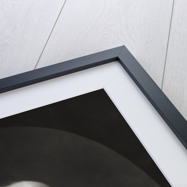 Portrait of George Clemenceau by Anonymous