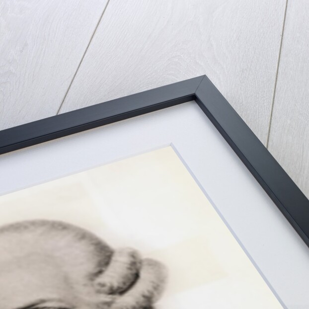 Portrait of Composer Joseph Haydn by Anonymous