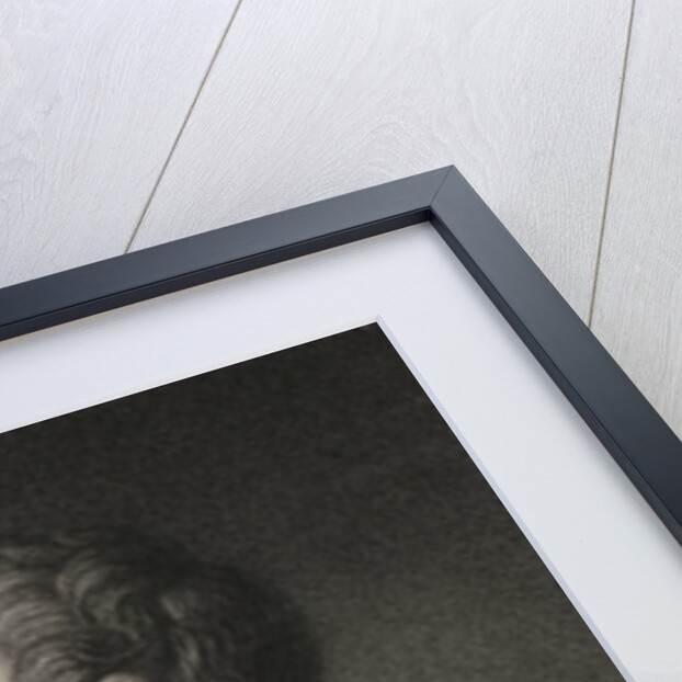 Profile of Mathematician Leonard Euler by Anonymous