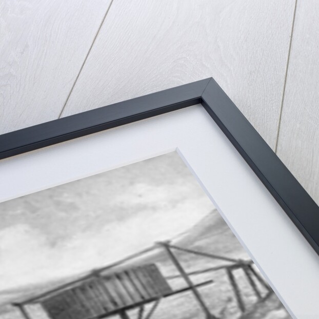 Immigrants Panning for Gold by Anonymous