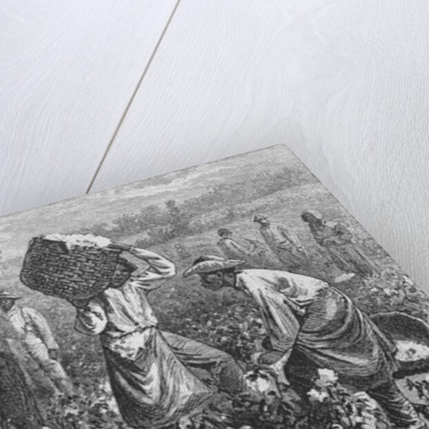 Workers Picking Cotton by Anonymous