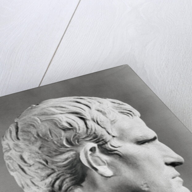 Head of Agrippa Sculpture by Anonymous
