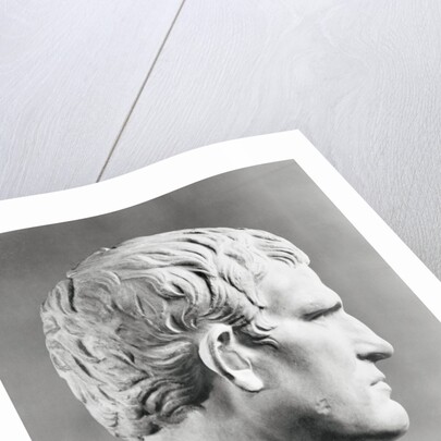 Head of Agrippa Sculpture by Anonymous