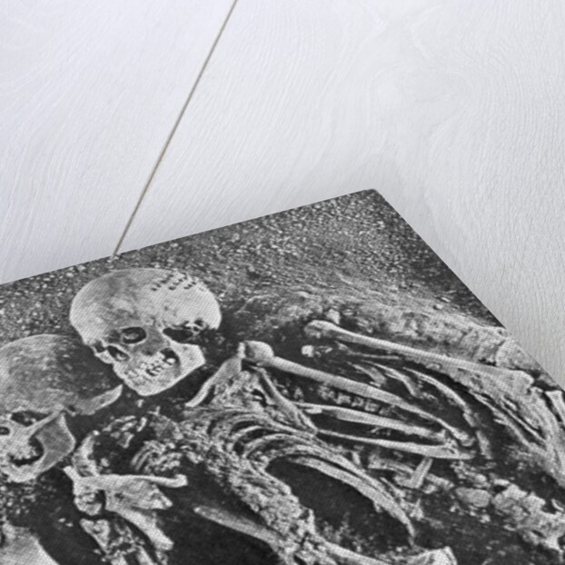 Skeletons from Grimaldi-Grotto by Anonymous
