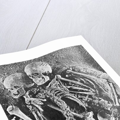 Skeletons from Grimaldi-Grotto by Anonymous