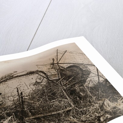 Tank Caught in Barbed Wire Entanglement by Anonymous