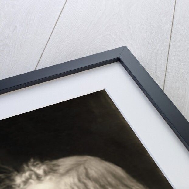 Portrait of the Brothers Grimm by Anonymous