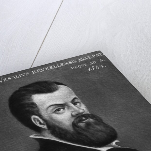 Portrait of Andreas Vesalius by Anonymous
