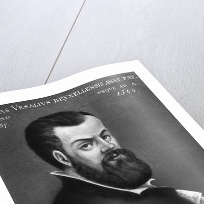 Portrait of Andreas Vesalius by Anonymous