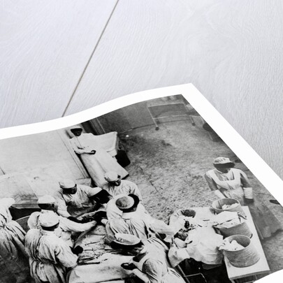 Operating Room Scene at Johns Hopkins Hospital by Anonymous