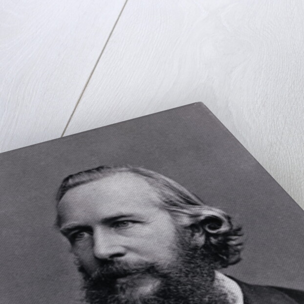 Ernest Haekel by Anonymous