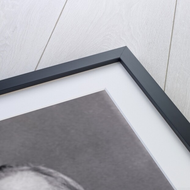 Ernest Haekel by Anonymous