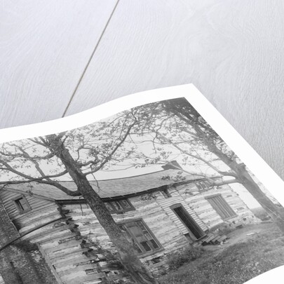Hardscrabble Log Cabin Farmhouse by Anonymous