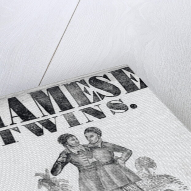 Poster Advertising Siamese Twins by Anonymous