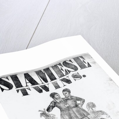 Poster Advertising Siamese Twins by Anonymous
