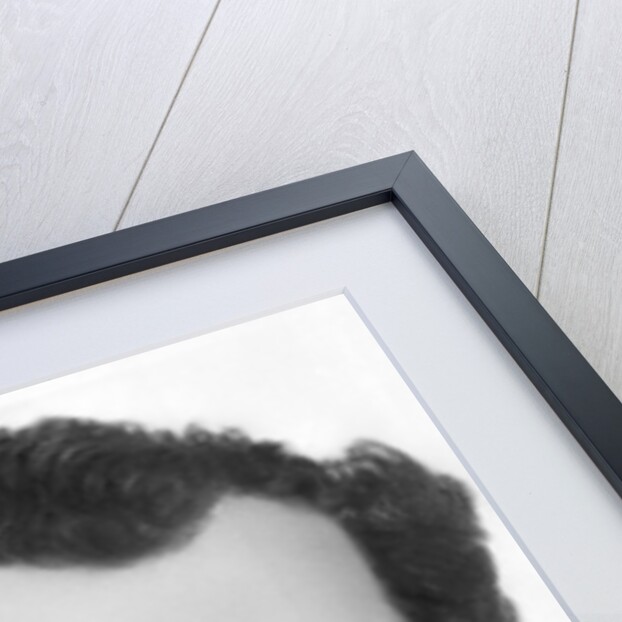 Portrait of James Bowie by Anonymous