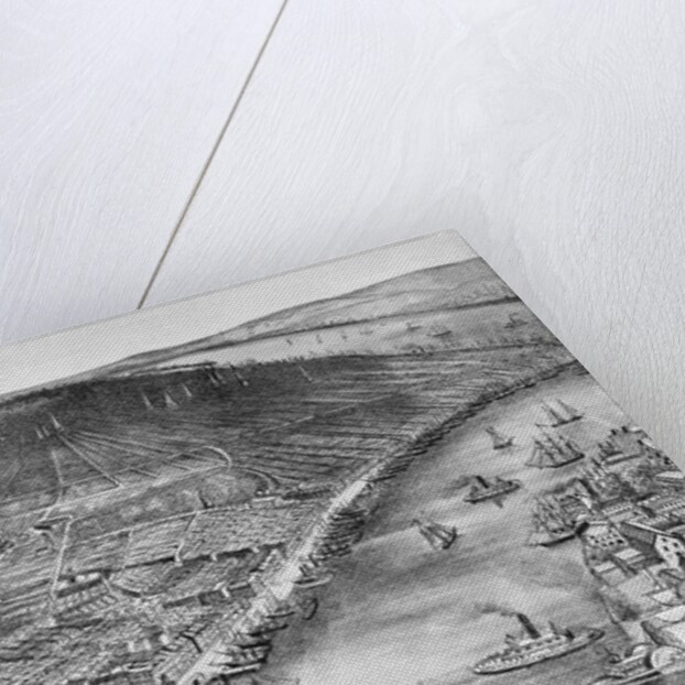 19th Century Print of Bird's-Eye View of Manhattan by Anonymous