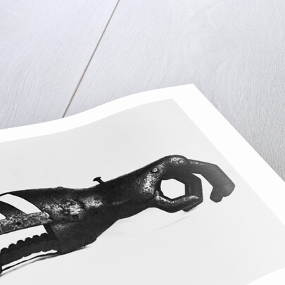 Artificial Hand by Anonymous