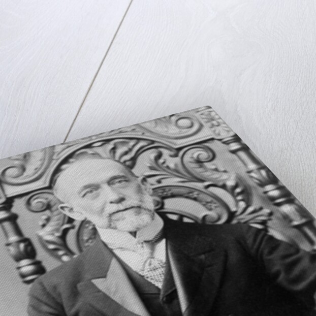 American Senator Thomas C. Platt by Anonymous