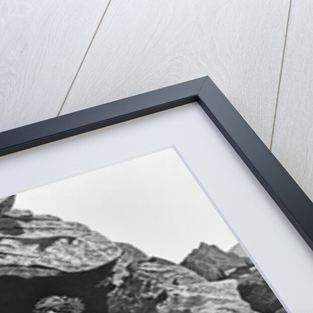 Samson Killing Lion by Anonymous