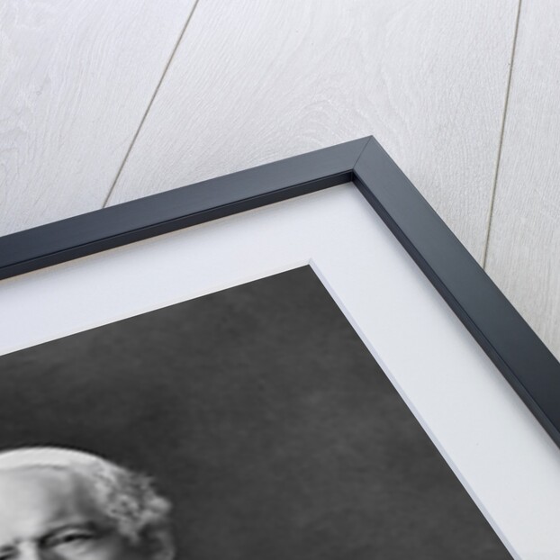 Pope Leo XIII by Anonymous