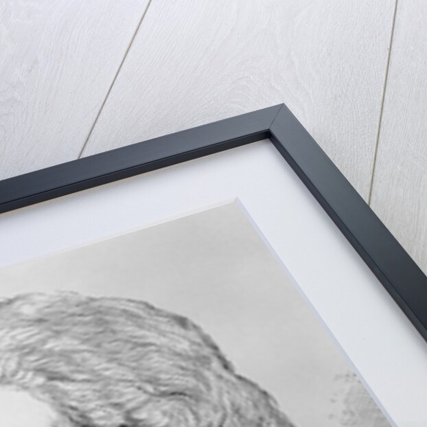 Portrait of Wolfgang Amadeus Mozart by Anonymous