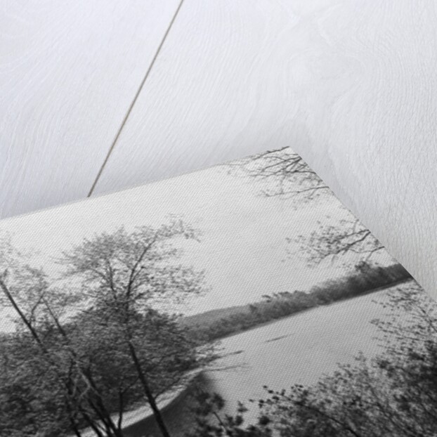 Walden Pond from Henry David Thoreau's Hut by Anonymous