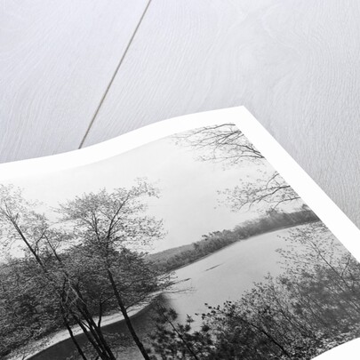 Walden Pond from Henry David Thoreau's Hut by Anonymous