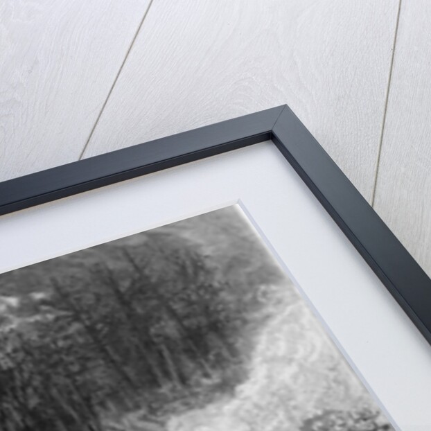 Cowboys by Anonymous