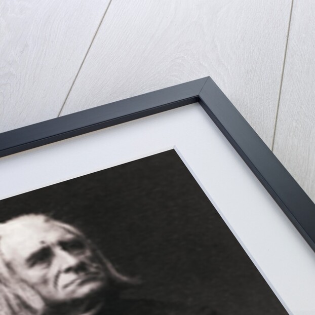 Portrait of Composer Franz Liszt by Anonymous
