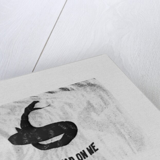 Don't Tread on Me Flag by Anonymous