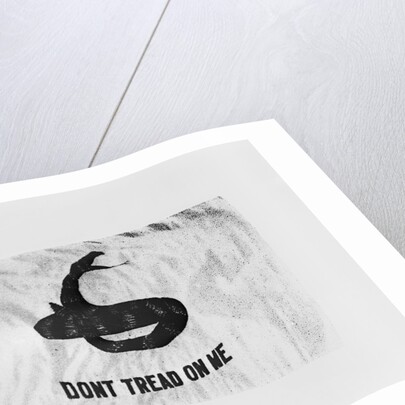 Don't Tread on Me Flag by Anonymous
