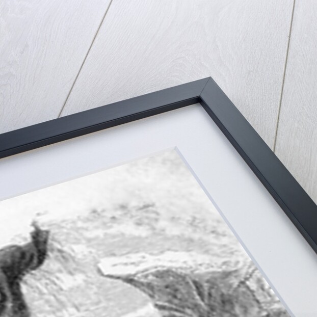 Whale Breeching by Anonymous