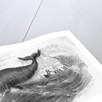 Whale Breeching by Anonymous