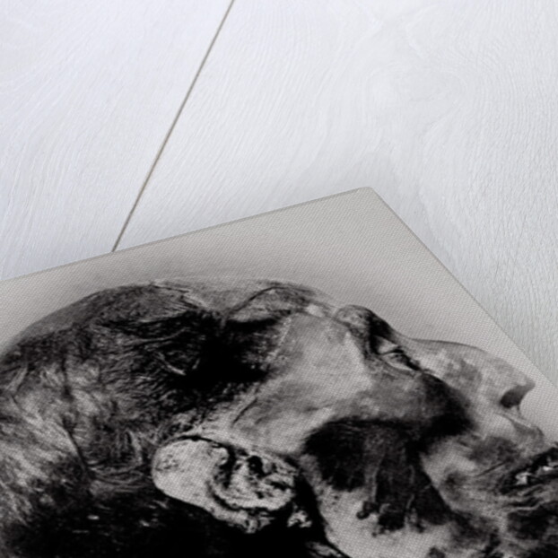 Display of a Mummy's Head by Anonymous